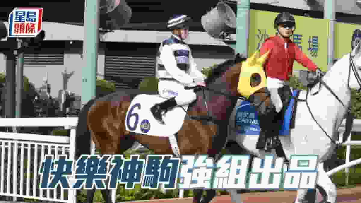 波仔至醒靈活玩│「快樂神駒」強組出品